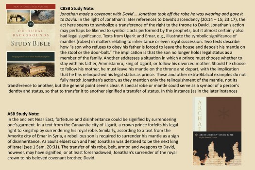 1 Sam 18 commentary.jpg