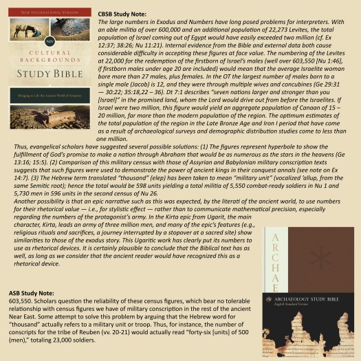 Numbers 1_46 Commentary.jpg