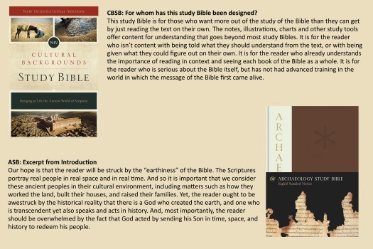 Who are these study bibles for?