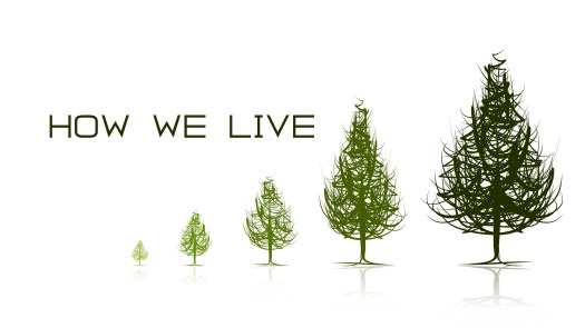 How We Live Graphic